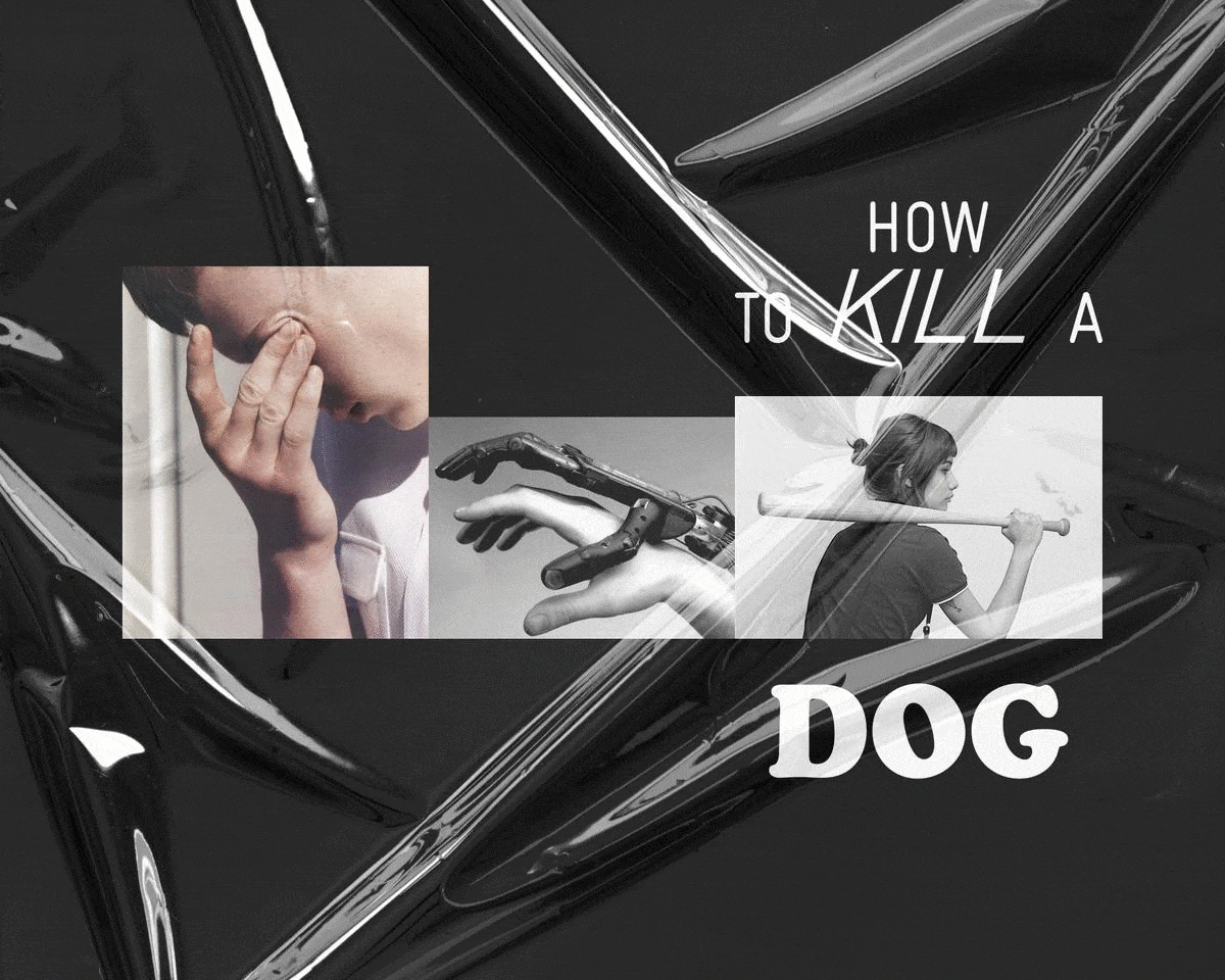 How to kill a dog andreas weiland