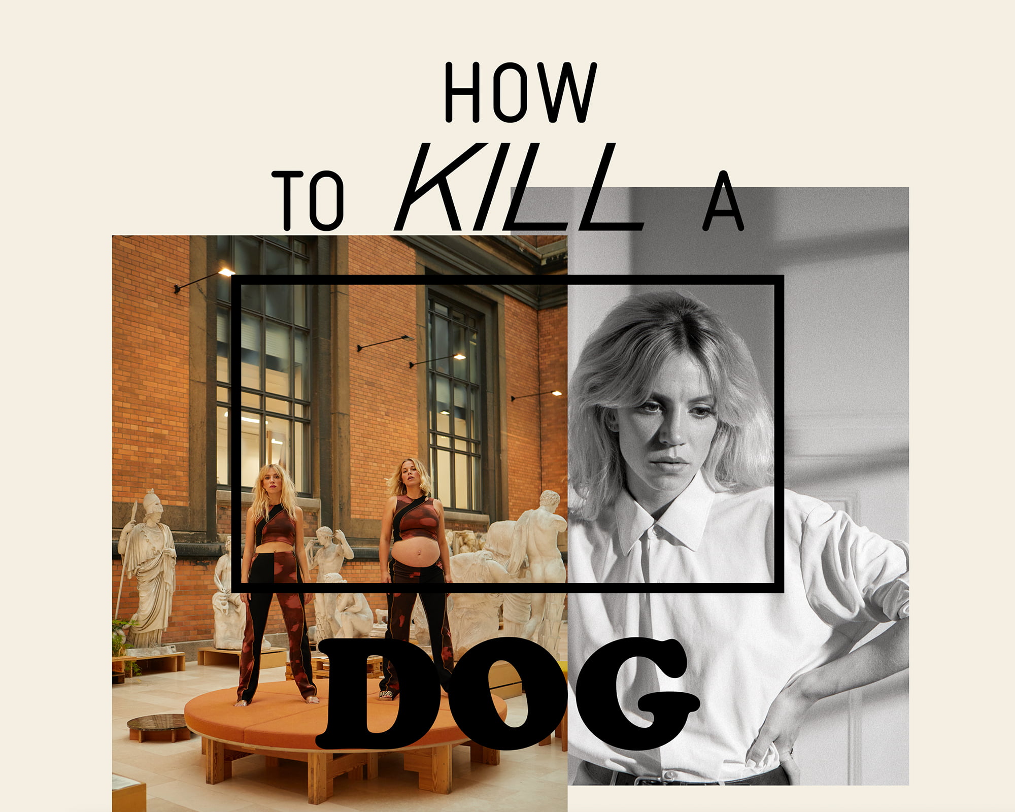andreas weiland how to kill a dog